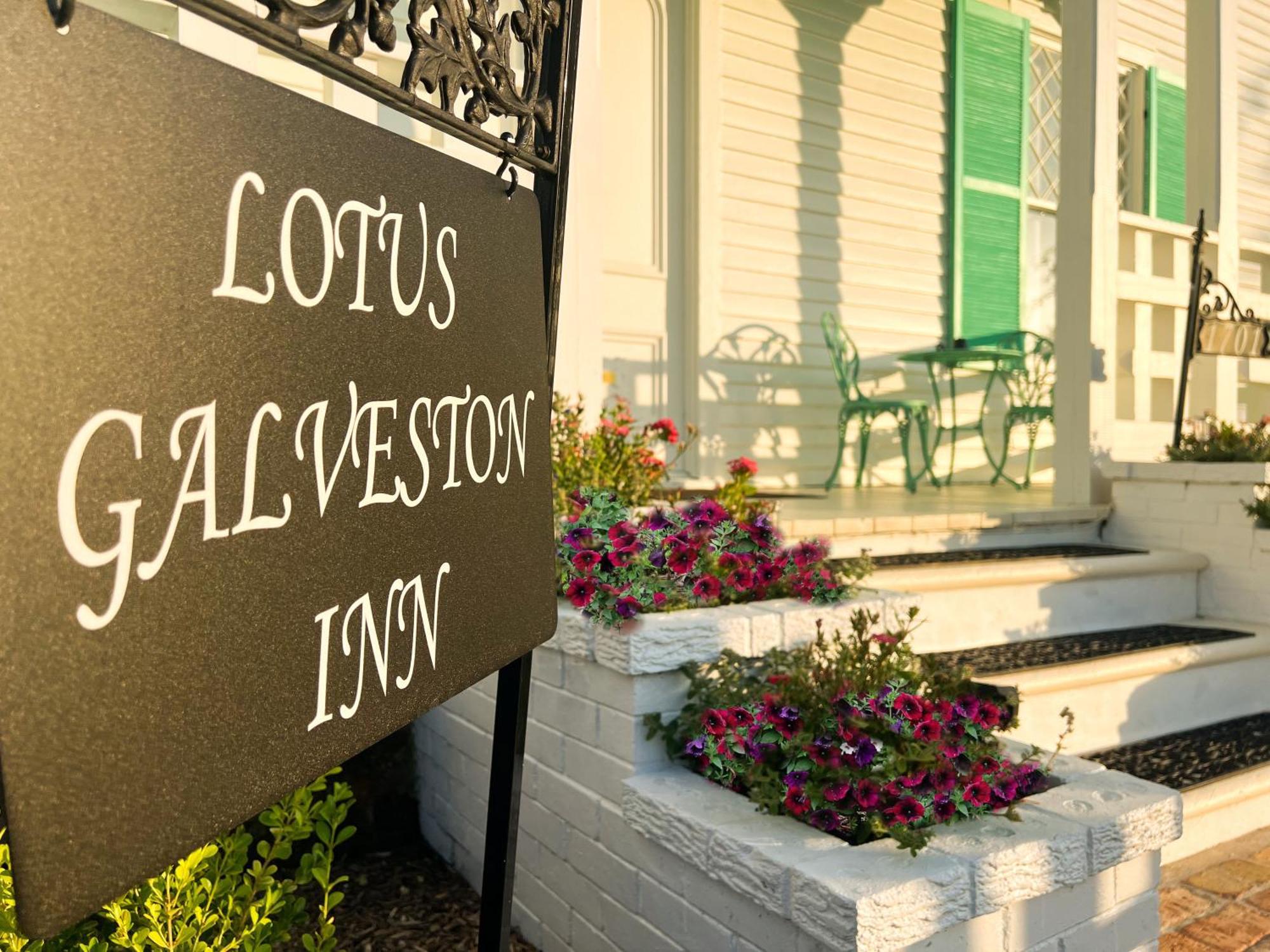 Lotus Mini-hôtel